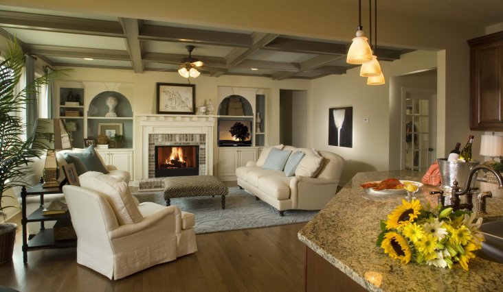 интерьер гостиной в частном доме современный стиль фото с камином