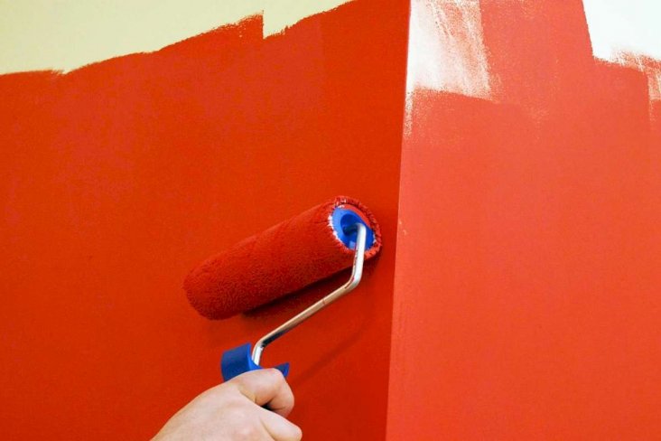 Покраска стен водоэмульсионной краской: как красить без разводов?